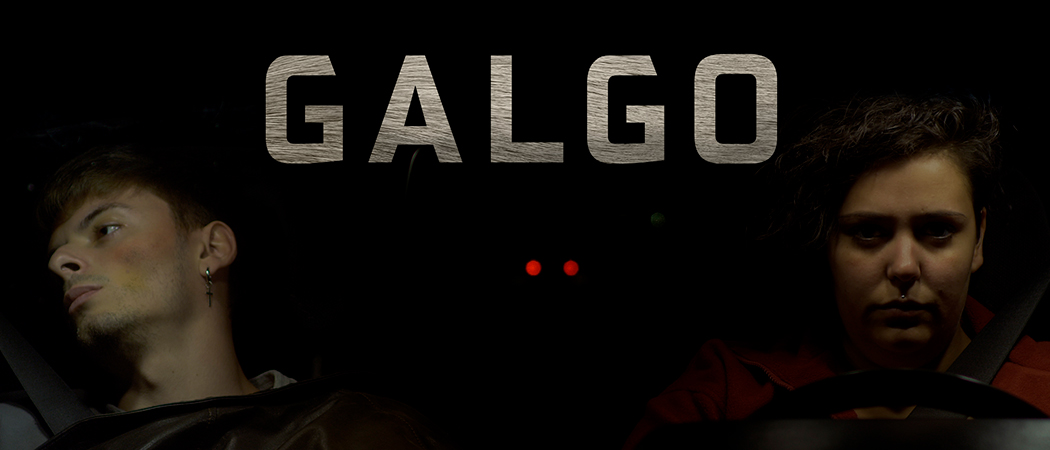 galgoCoche